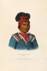 Foke-Luste-Hajo - Seminol