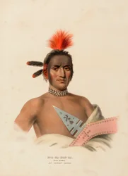 MOA-NA-HON-GA. GREAT WALKER. AN IOWAY CHIEF., z Historii plemion indiańskich Ameryki Północnej