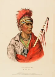 NOT-CHI-MI-NE. AN IOWAY CHIEF., z Historii plemion indiańskich Ameryki Północnej