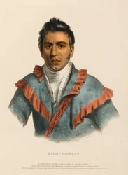 OCHE-FINCECO, z Historii plemion indiańskich Ameryki Północnej