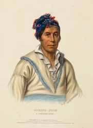 WIOSENNA ŻABA. A CHEROKEE CHIEF, z Historii plemion indiańskich Ameryki Północnej