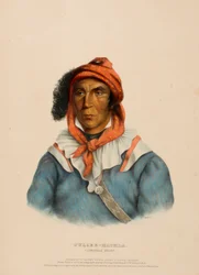 TULCEE-MATHLA. A SEMINOLE CHIEF., z Historii plemion indiańskich Ameryki Północnej