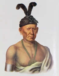 Wakechai, czyli „Przykucnięty Orzeł”, wódz Sauków, ilustracja z „Plemion indiańskich Ameryki Północnej, tom 2”, autorstwa Thomasa L. McKenneya i Jamesa Halla, wydana przez Johna Granta