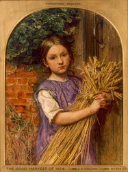 „Dobre żniwa 1854”, 1854