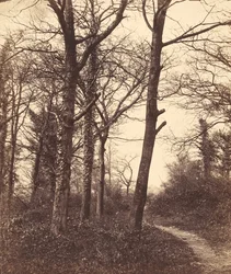 Zima 1855.