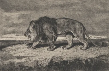Spacerujący lew, 1866-1897.
