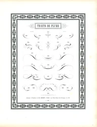 Kaligraficzne pióra - Traits de Plume (druk)