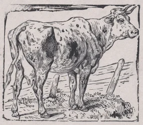 Krowa, ca. 1853.