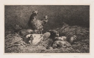 Kurczaki Poutes, 1867.
