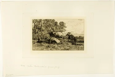 Holenderskie Krowy