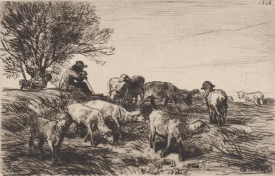 Stado owiec, 1864.