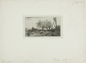 Krajobraz, Wierzby