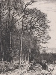 Skraj Lasu, 1846.
