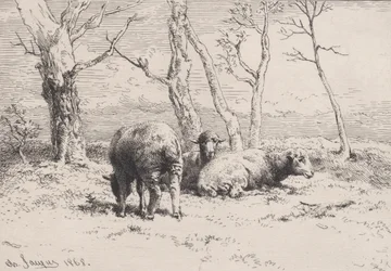 Owce, 1868.