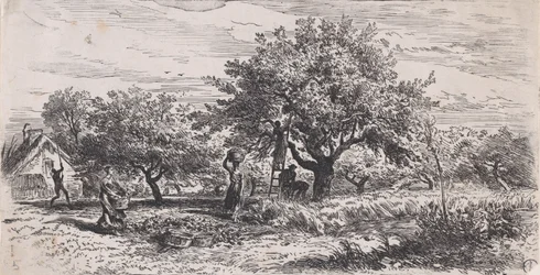 Zbieranie owoców z drzewa przed domkiem, ok. godz. 1852.