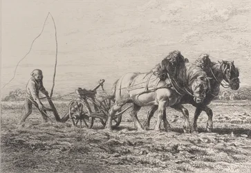Orka, 1864 r.