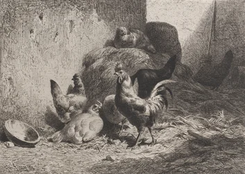 Kogut i kury, 1864.