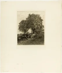Reszta
