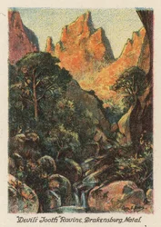 Republika Południowej Afryki: "Devil