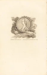 Maria Antonina