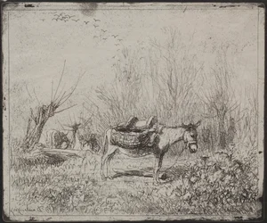 Osioł w polu, oryginalny nadruk 1862, wydrukowany w 1921 r.