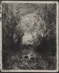 Strumień na polanie, oryginalny nadruk 1862, wydrukowany w 1921 r.