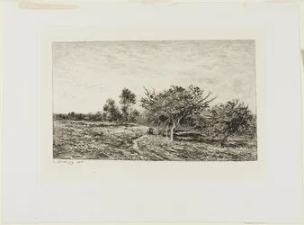 Jabłonie w Auvers