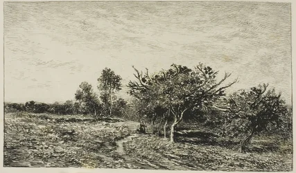 Jabłonie w Auvers