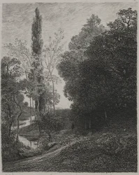 Brzegi rzeki kuzyn, 1850.