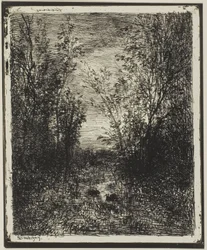 Brook na Polanie