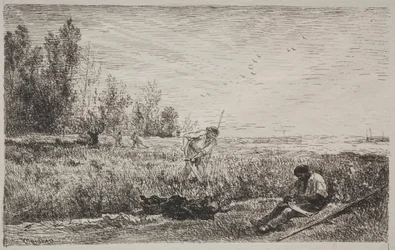 Sianokosy