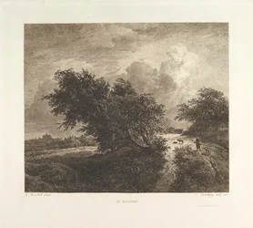 Krzew, 1855.