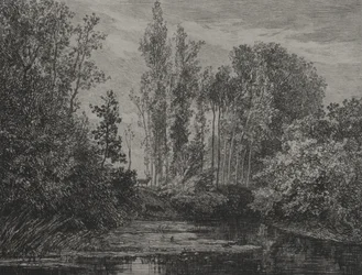 Jelenie nad wodą