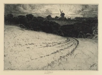 Rano, Wyspa Canonicut, 1908.