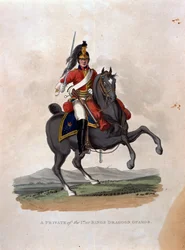 Szeregowiec 1. Królewskiej Gwardii Dragońskiej, z "Costumes of the Army of the British Empire, according to the last regulations 1812", rytowane przez J.C. Stadlera, opublikowane przez Colnaghi und Co. 1812-15