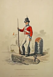 Szeregowiec Royal Marines, rytowany przez Josepha Constantine Stadlera, opublikowany 1815 (akwatinta)