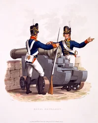 Mundur Królewskiej Artylerii, z „Kostium Imperium Brytyjskiego według ostatnich przepisów”, wydany w 1815 r. (akwatinta ręcznie kolorowana)