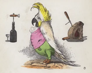 Kakadu chciwa (kolorowy grawerunek)