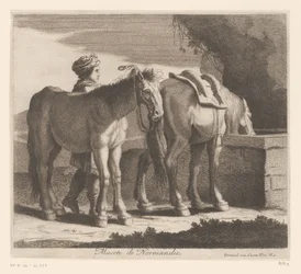 Konie do picia Masete de Normandie (tytuł na obiekcie) Seria zwierzęca (tytuł serii)