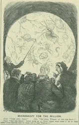 Mikroskopia dla Milionów: 1878 (grawerowanie)