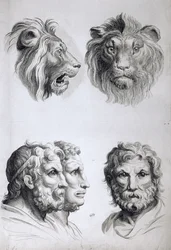 Podobieństwa między głową lwa a głową człowieka, z „Livre de portraiture pour ceux qui commencent à dessiner” Le Bruna