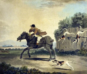 Przedni koń drużyny z Polowania na Pytchleya, ryty przez F.Dukesa (1745-1812)