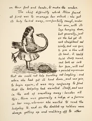 Alicja trzymająca strusia, ilustracja z filmu Alice Adventures Under Ground, wyd. 1886 (faksymile)