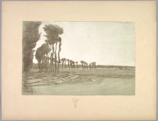 Suite de Paysages: Krajobraz, Płyta 5, Remarque, Trzy łodygi pszenicy