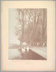 Suita krajobrazów: Pejzaż, Tablica 6, Notatka, Lilie, 1892-1893.