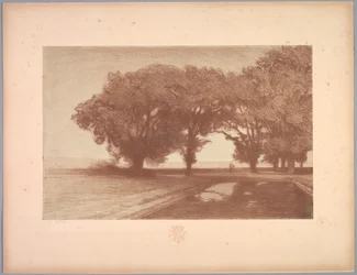 Suita krajobrazów: Pejzaż, Tablica 8, Notatka, Bratki, 1892-1893.
