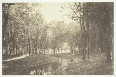 Bez tytułu, ok. 1850. [Drzewa nad wodą w Bois de Boulogne, park w Paryżu].