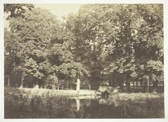 Bez tytułu, ok. 1850. [Drzewa nad wodą w Bois de Boulogne, park w Paryżu].