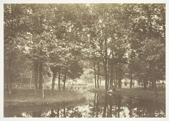 Bez tytułu, ok. 1850. [Drzewa nad wodą w Bois de Boulogne, park w Paryżu].