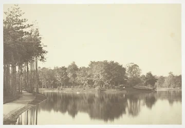 Bez tytułu, ok. 1850. [Drzewa nad wodą w Bois de Boulogne, park w Paryżu].
